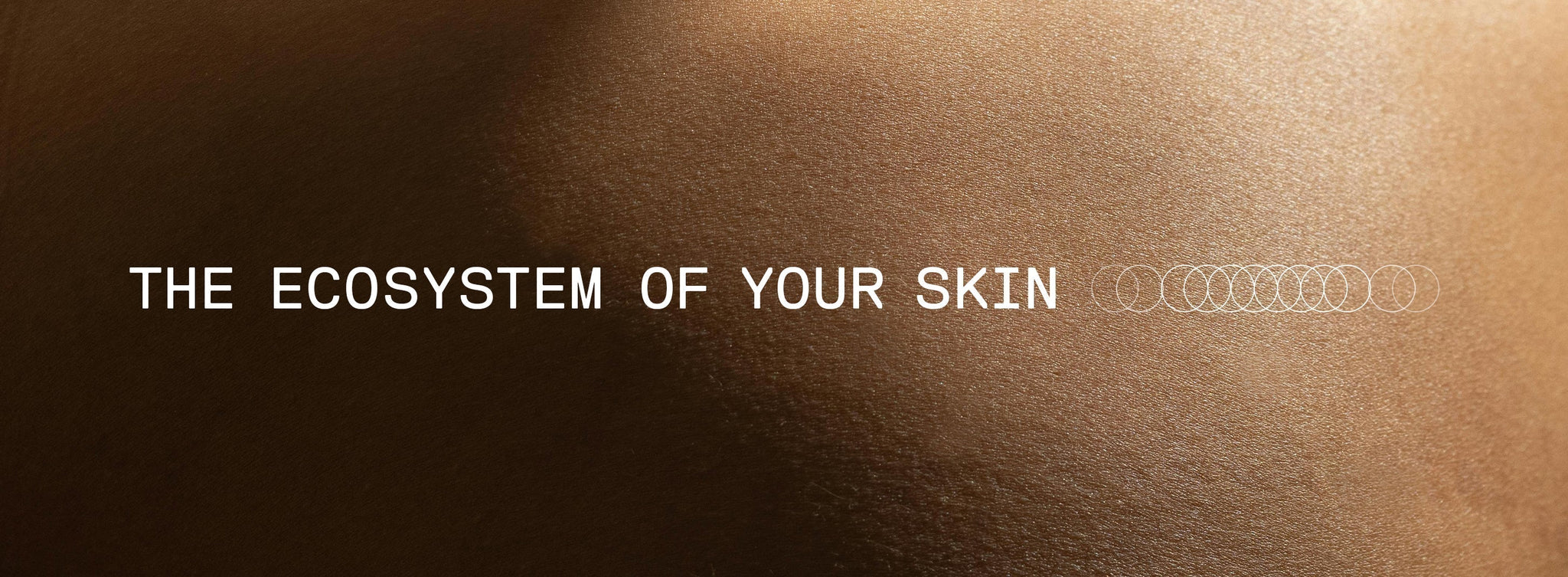 The Ecosystem of Your Skin