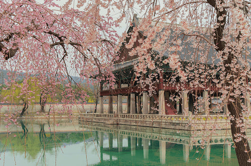 48 Hours in Seoul